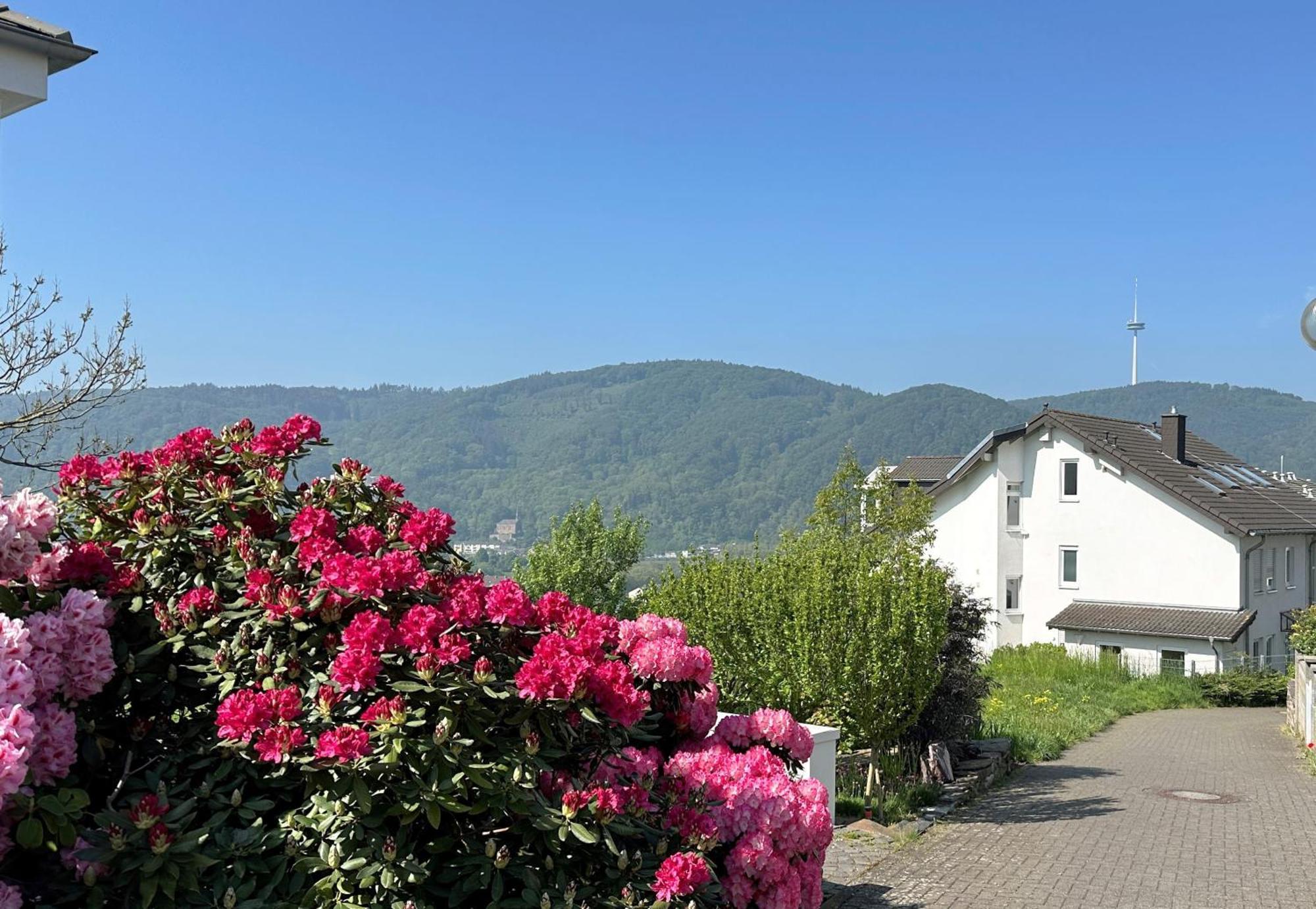 Ferienwohnung Rhein-Panorama Lahnstein Exteriör bild