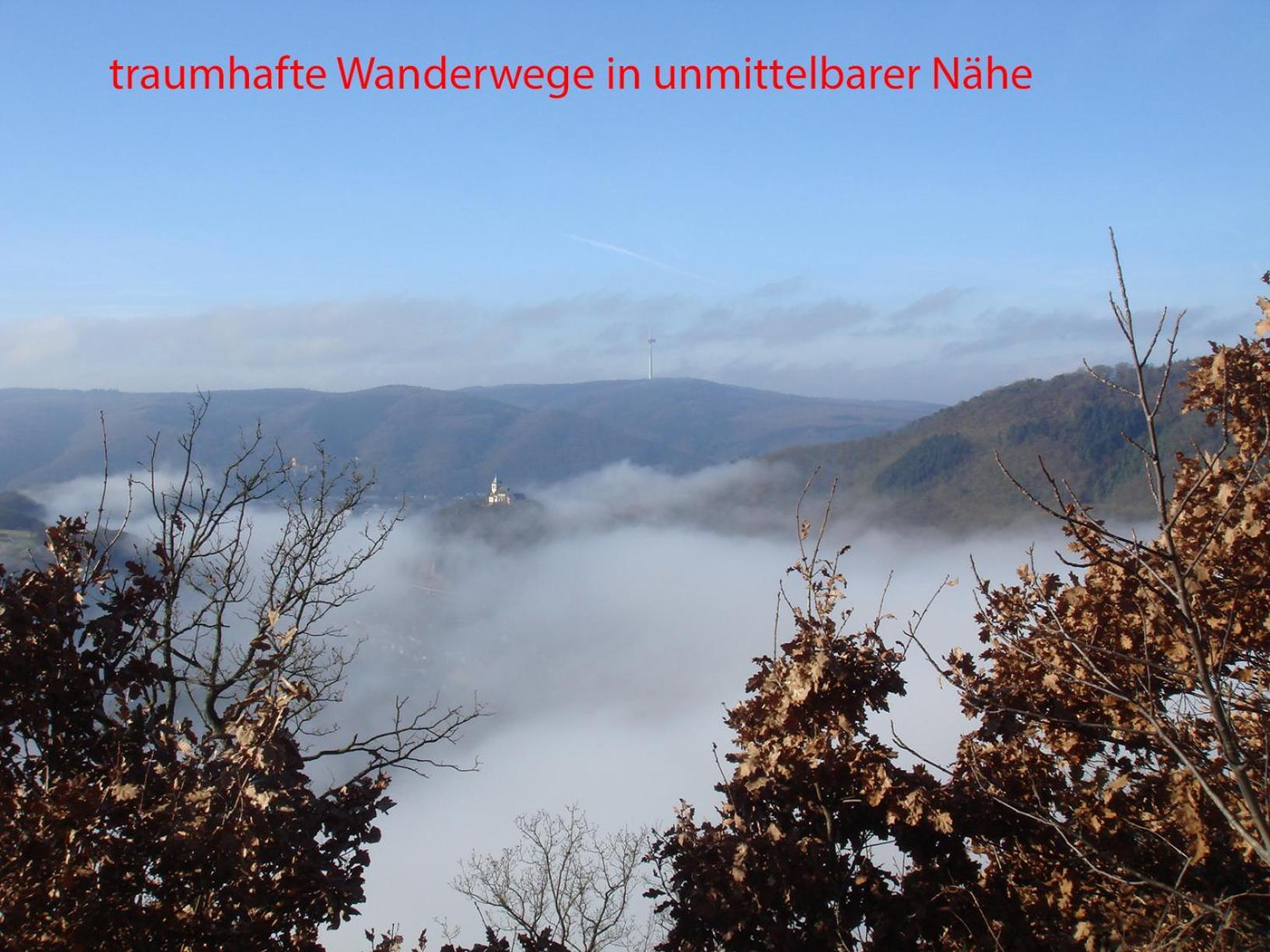 Ferienwohnung Rhein-Panorama Lahnstein Exteriör bild