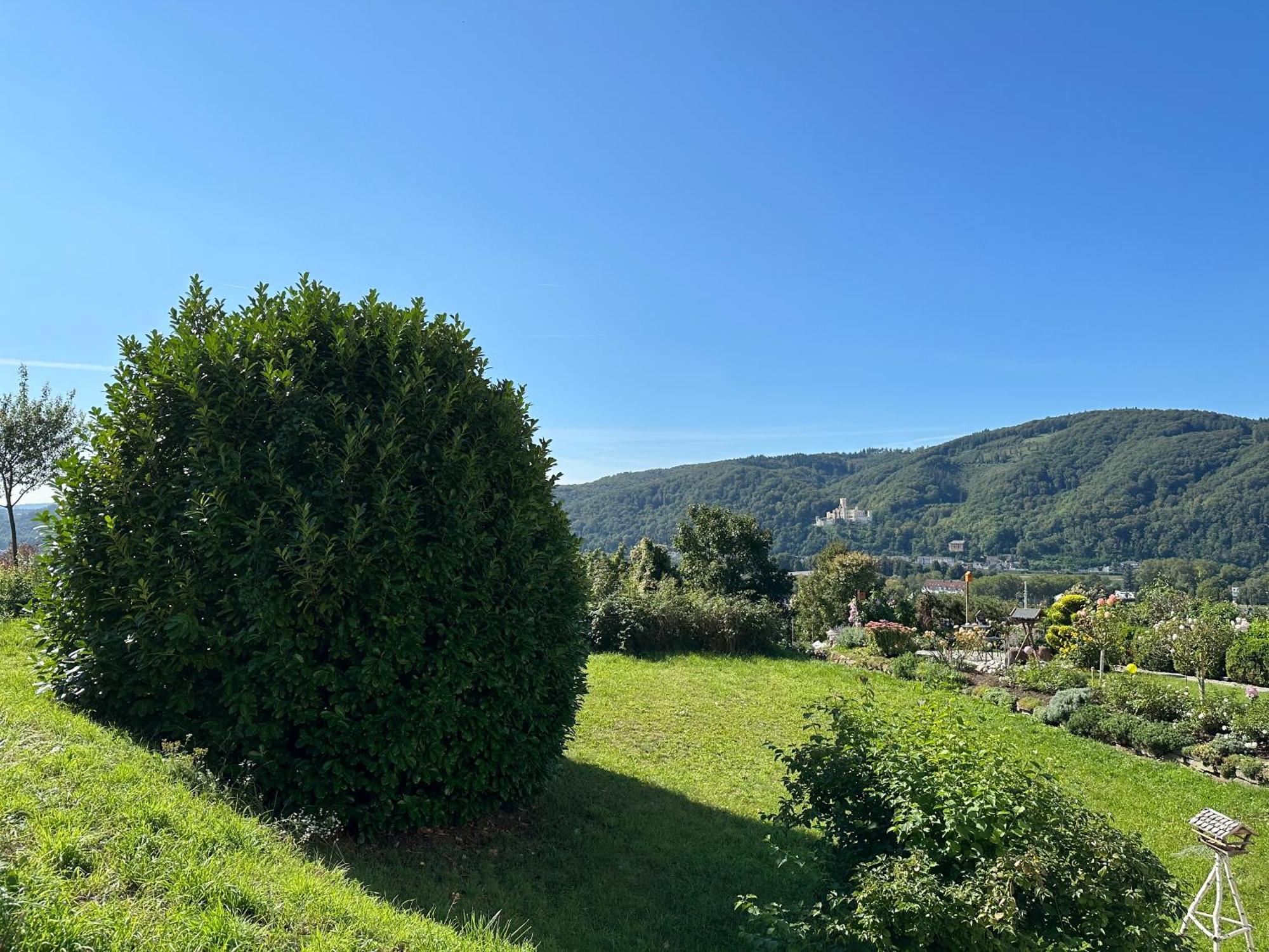 Ferienwohnung Rhein-Panorama Lahnstein Exteriör bild